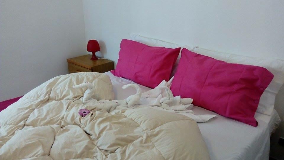 La Salina LMP Quarto foto