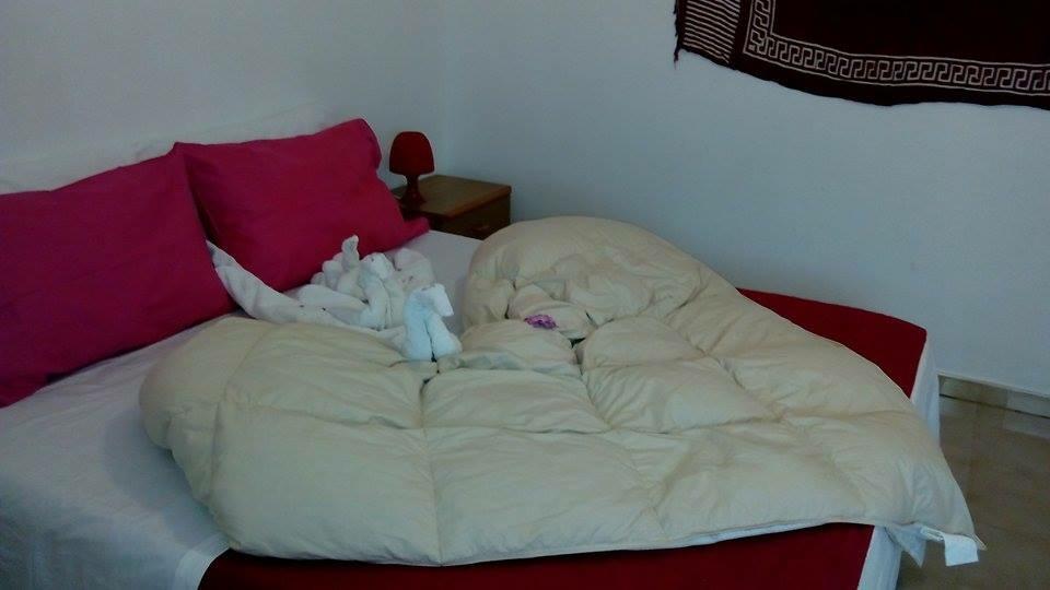 La Salina LMP Quarto foto