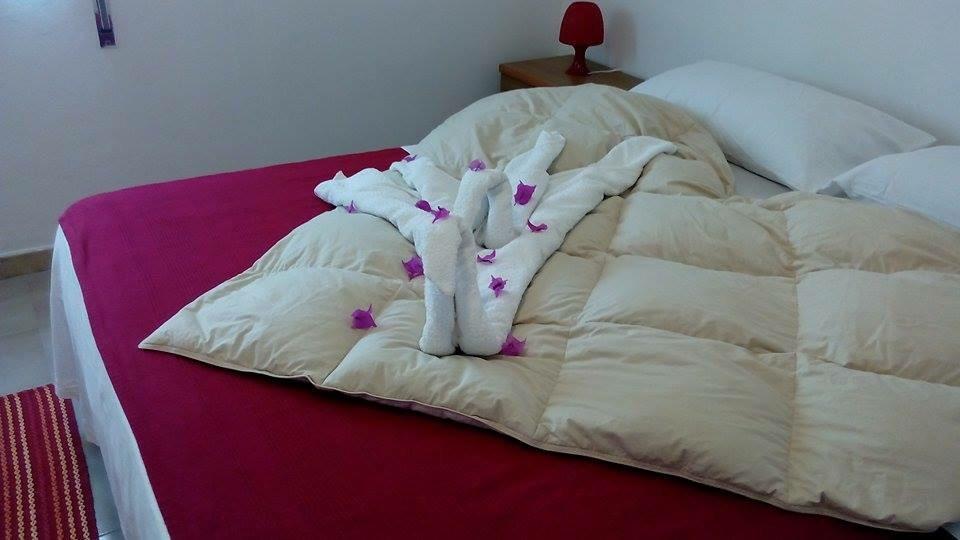 La Salina LMP Quarto foto